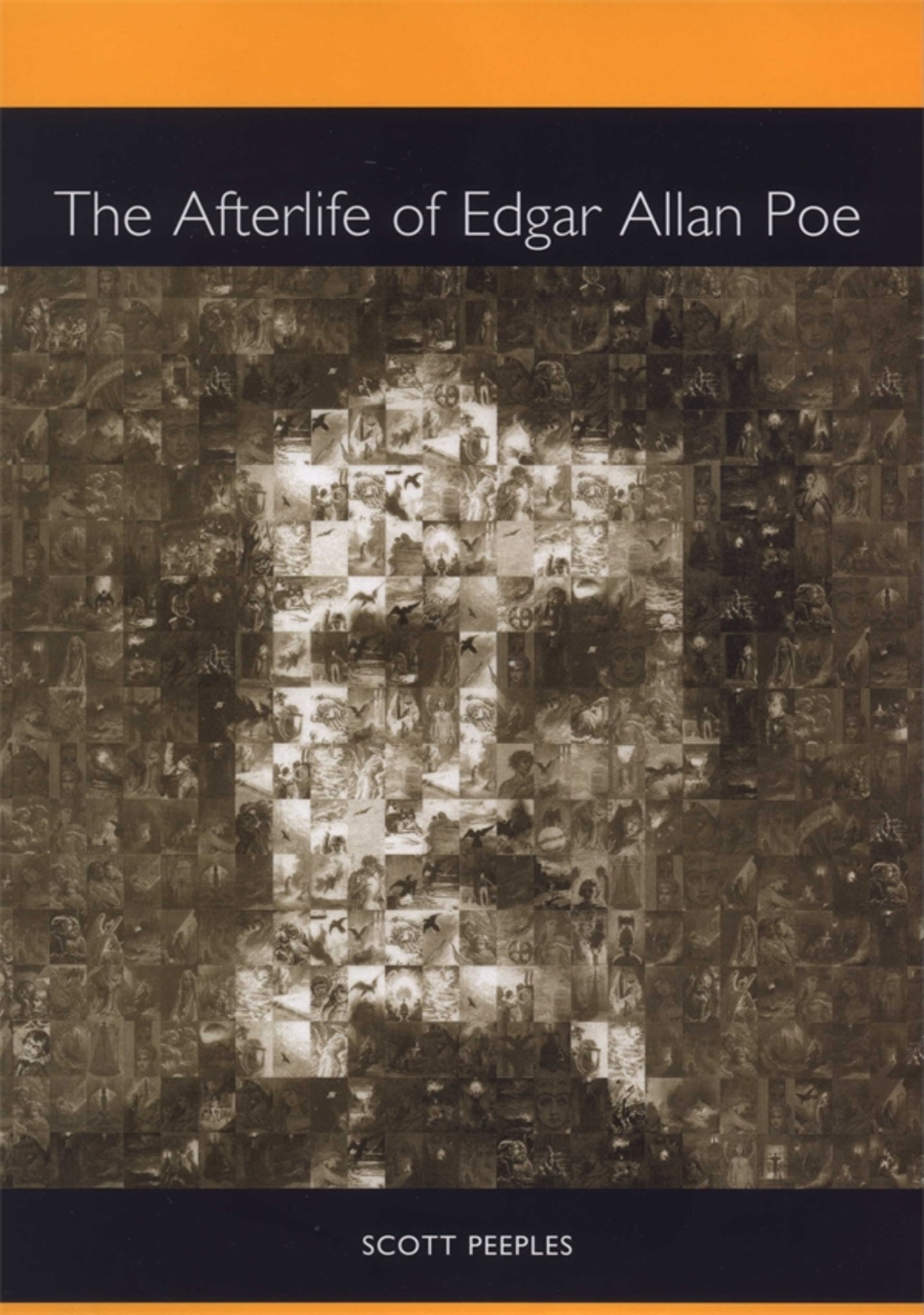 Cover image for The Afterlife of Edgar Allan Poe ISBN 9781571133571